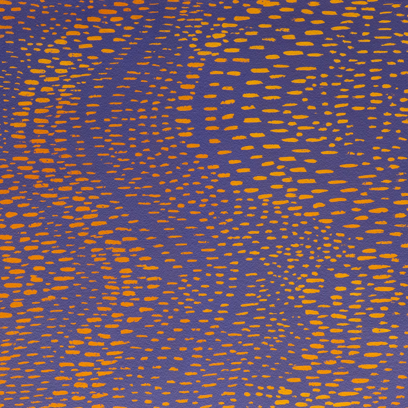 Starling Murmurations